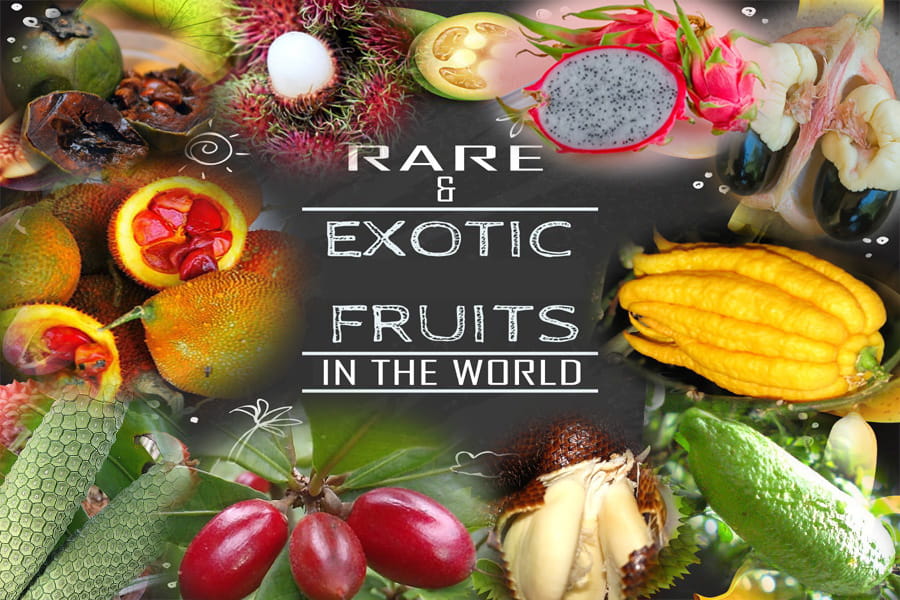 most rare and exotic fruits in the world